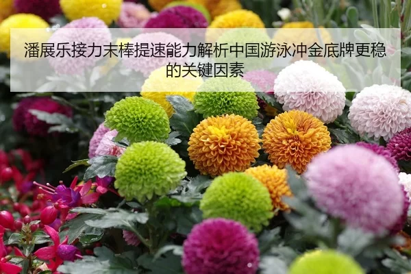 潘展乐接力末棒提速能力解析中国游泳冲金底牌更稳的关键因素