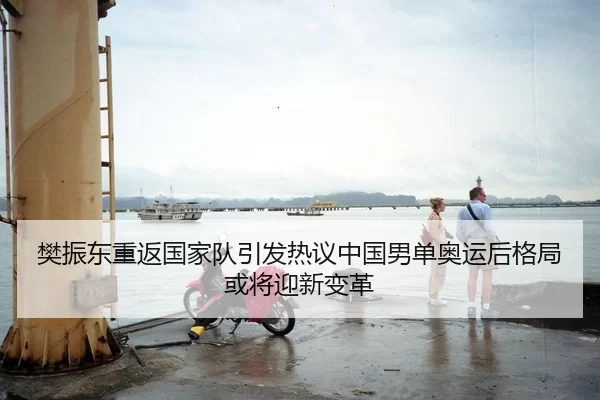 樊振东重返国家队引发热议中国男单奥运后格局或将迎新变革