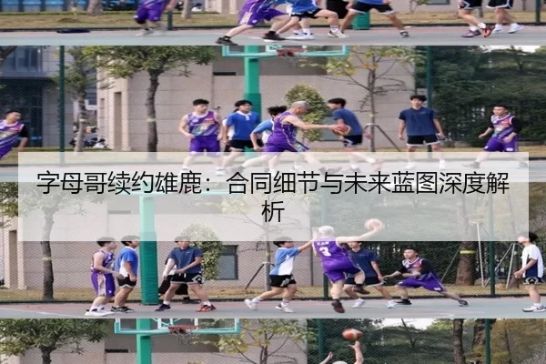 字母哥续约雄鹿：合同细节与未来蓝图深度解析