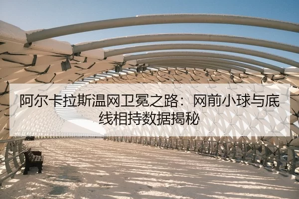 a-er-ka-la-si-wen-wang-wei-mian-zhi-lu-wang-qian-xiao-qiu-yu-di-xian-xiang-chi-shu-ju-jie-mi-2-482.jpg