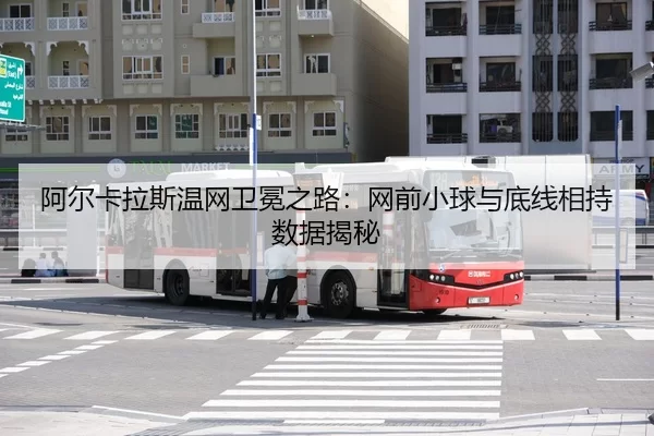 a-er-ka-la-si-wen-wang-wei-mian-zhi-lu-wang-qian-xiao-qiu-yu-di-xian-xiang-chi-shu-ju-jie-mi-3-914.jpg